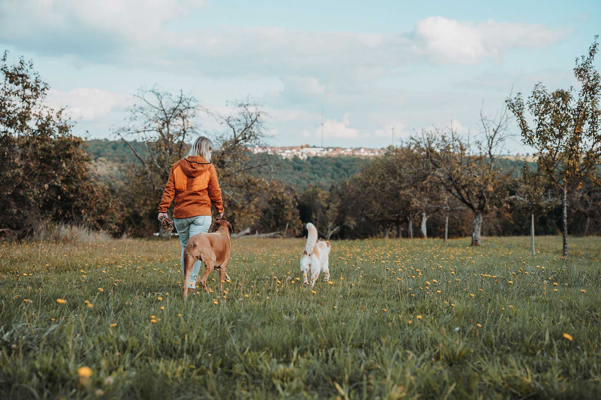 Juliane Dressel geht mit zwei Hunden durch eine blühende Wiese. Die Szene zeigt Ruhe, Vertrauen und achtsames Miteinander zwischen Mensch und Hund in der Natur.